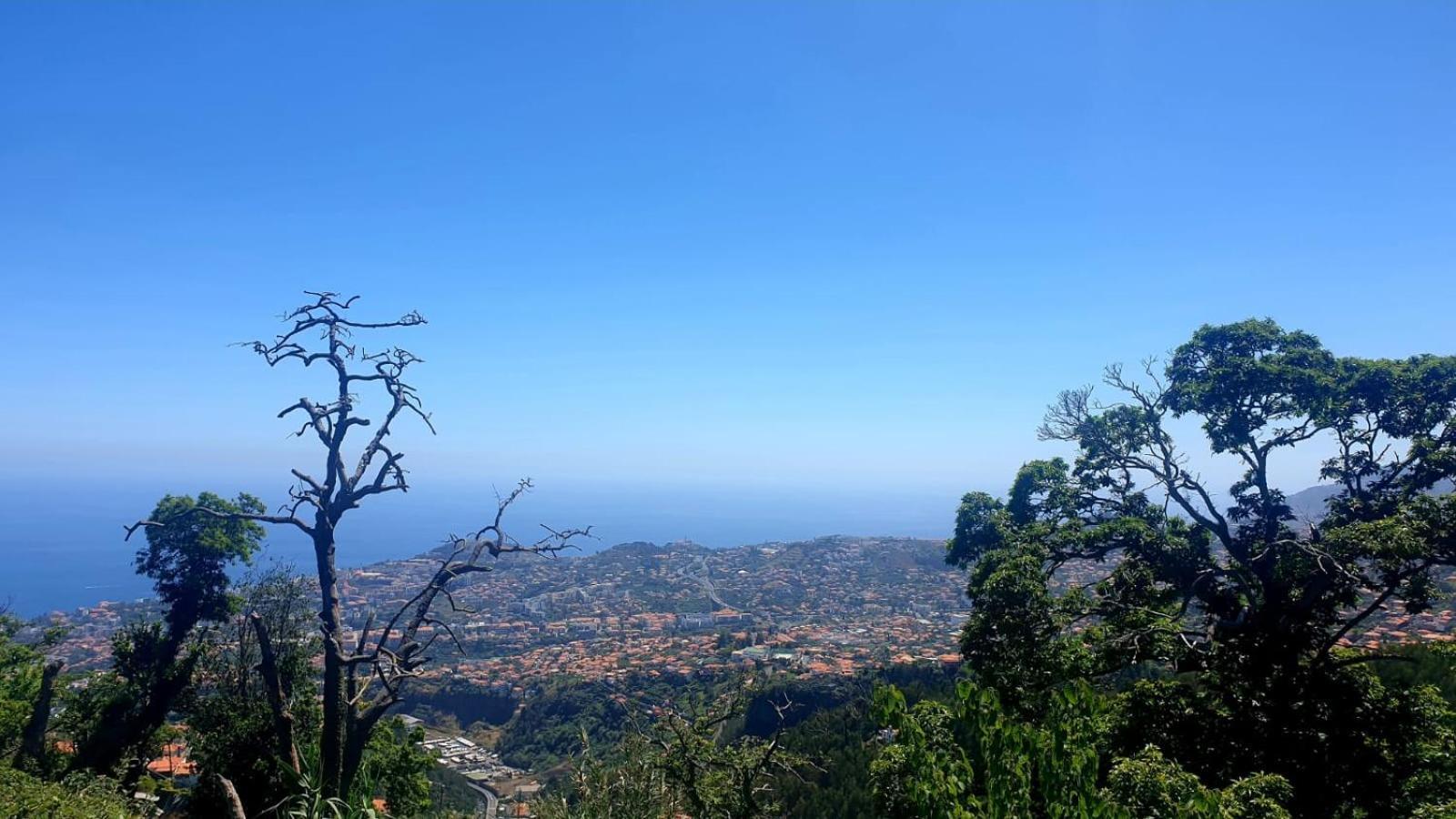 Montecorujeira Apartamento Funchal (Madeira)
