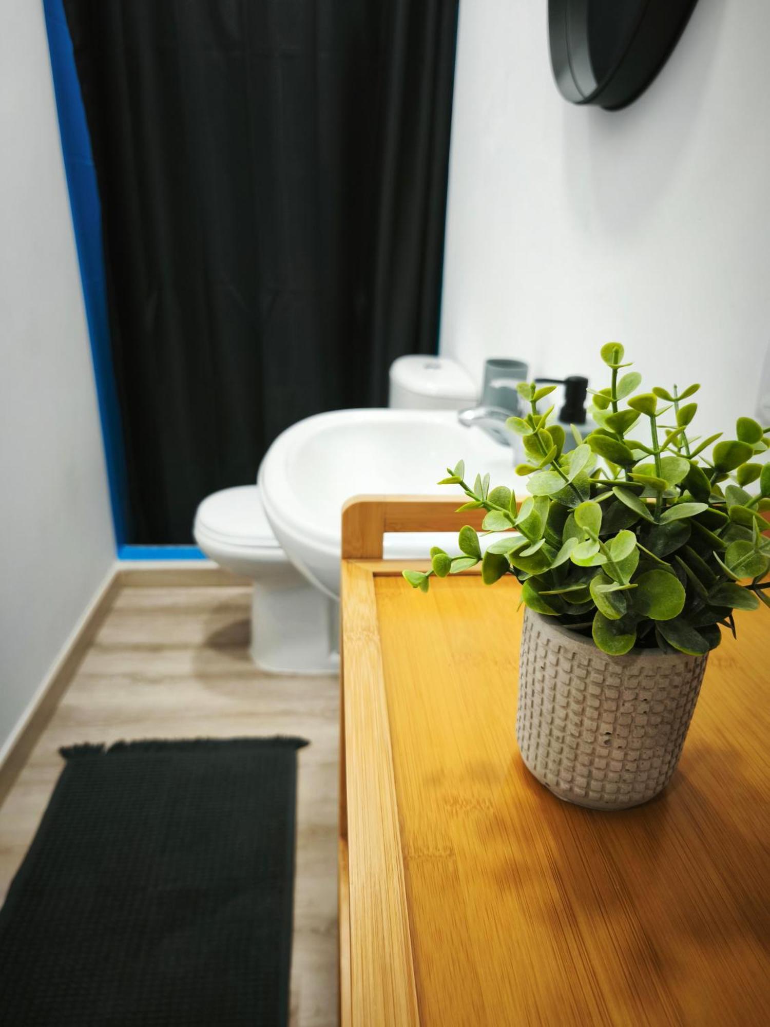 Apartamento Montecorujeira Funchal (Madeira)